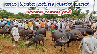 Yaragatti buffalo market diaries | Farmers and traders speak