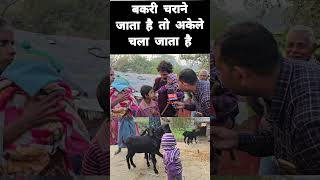 बकरी चराने जाता है तो अकेले चला जाता है #santoshchauhan #chhotabachcha #chhotabachha #viralvideo