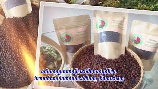 ដំណាំម្រេចខ្មៅជាដំណាំកសិឧស្សាហកម្មដ៏សំខាន់របស់កម្ពុជា#Hunmanet #cambodia #ឯកសារស្រាវជ្រាវអំពីកម្ពុជា