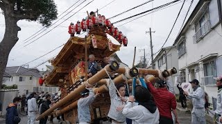 平成28年3月13日　中野區試験曳き