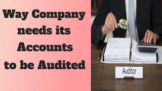 Why Company needs to audit its Accounts? | Top Management