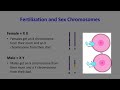 homologous chromosomes