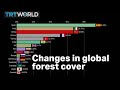 What share of land in the world's highest GDP countries is forested?