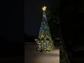 來陪我一起過聖誕節🎄🎄 vlog 聖誕節 merrychristmas macau