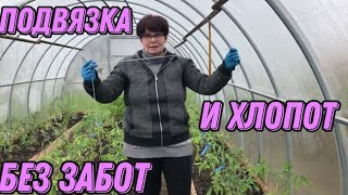 Подвязка томатов! Легко и просто.