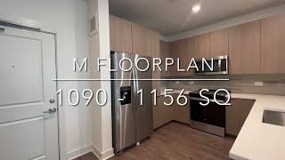 M floor plan: 2 bd / 2 ba