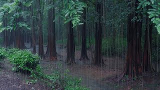 The streams and rain in the valley(7), sleep, relax, meditate, study, work, ASMR