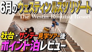 【ウェスティンルスツリゾート】羊蹄山を望むラグジュアリーホテルのお部屋レビュー。出資馬見学のついでにも最適！