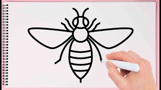 How to Draw Honey Bee Step by Step Learn Drawing Honey Bee Very Easy For Kids