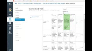 Peer Review using Rubric