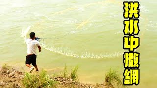 The riverside masters lined up to cast the net, and the eldest brother kept on the silver carp!