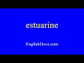 How to pronounce estuarine in American English