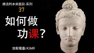 15-37  净土法门的简易实践与深远意义【 佛學的真實面目】系列。放鬆電臺，ASMR。聆聽即可積福。