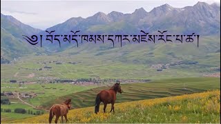 Summer vibes || Tibetan || Kham (བོད་མདོ་ཁམས་དཀར་མཛེས་རོང་པ་ཚ་།)