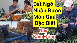 884# Món Quà Bất Ngờ Nhận Được , Tiên Vui Mừng Không Thể Tả Được