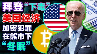 拜登签署《2022年通胀削减法案》；各国争当加密先锋；腾讯幻核正式关停；巴西投资经纪公司 XP 创加密平台；熊市加密犯罪下降15%20220818