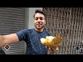 chhangani vs chhangani club kachori of kolkata kolkata s famous club kachori ❤️ sakirvines