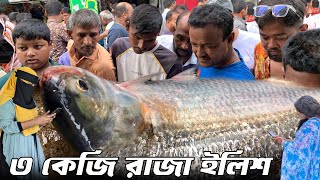 পদ্মার টাটকা রাজা ইলিশ কিনতে হুমড়ি খেয়ে পড়েছে ছেলে মেয়ে একসাথে | সস্তায় পদ্মার ইলিশ বিক্রি হচ্ছে