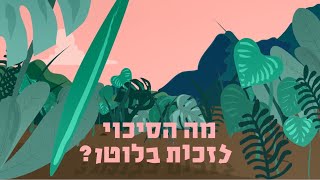 מה הסיכוי לזכות בלוטו ובמנוי פיס?