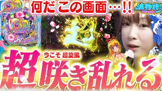 【夜桜超旋風】100凸90%継続の革命海!!  あれよあれよと◯◯連チャンを巻き起こした…!!?【波物語#23】[パチンコ] [実戦] [海物語] [ビワコ]