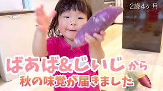 【開封\u0026実食】大好きなばあば\u0026じいじから秋の味覚が届いて大喜びの2歳児