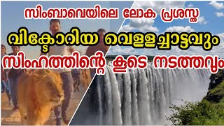 സിംബാവെയിലെ വിക്ടോറിയ വെള്ളച്ചാട്ടവും സിംഹത്തിന്റെ കൂടേ നടത്തവും😳|Victoria Water Falls|Lion walking