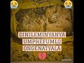 Dinileminyanya(Okuhle) _ Umphefumlo ongenatyala