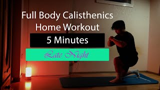 Full Body Calisthenics Beginner Late Night Home Workout (no equipment)