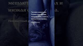 Человек может - цитата Цитаты - мудрость жизни #успех #мудрость #будущее #цитаты #жизнь #пословицы