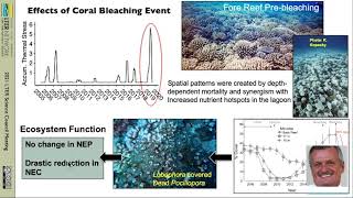 Vulnerability of coral reefs to extreme events | 2021 Lightning Talks