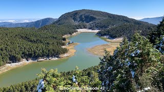 雪後暖陽 太平山翠峰湖 Warm sun after snow - Echo 42