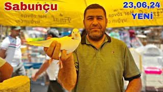 Sabunçu Quş Bazarı 23 iyun 2024 @mubarizemintv2271