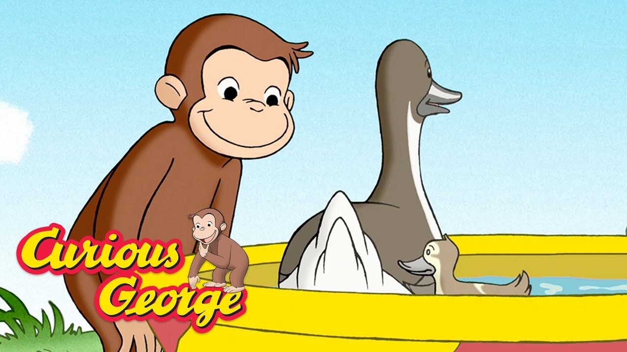 Curious George 🐵 George Helps The Ducks 🐵 Kids Cartoon 🐵 Kids Movies 🐵 ...