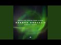 Aurora Borealis (MNGRM Remix)