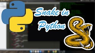 Speed Coding | Snake in Python