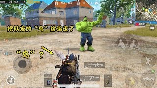 蓝一游戏：队友竟然捉了一只“鸟”，让我给骗过来了 | 刺激战场 PUBG Mobile|和平精英|吃鸡手游