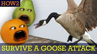 HOW2: How to Survive a Goose Attack!