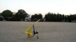 RC Dominator type 　 AutoGyro  ｵｰﾄｼﾞｬｲﾛ