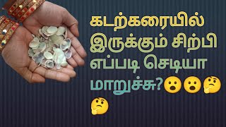 கடற்கரையில் இருக்கும் சிற்பி இவ்வளவு அழகான  செடியா மாறிடுச்சே! 🤔🤔🤔#tailoring #diy #draft