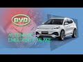 BYD Automatic Emergency Brake activated