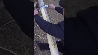 wood Cutting satisfying Video ASMR || Relaxing Video #viral #shorts #trendingshorts #satisfying