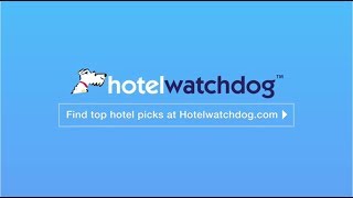 Video Tutorial: Find Cheap Hotel Deals with Airfarewatchdog