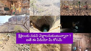 శ్రీశైలం పాదయాత్ర | వెంకటాపురం to శ్రీశైలం పాదయాత్ర పూర్తి వివరాలతో