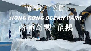 南極奇觀★香港海洋公園企鵝館【2024年10月26日】