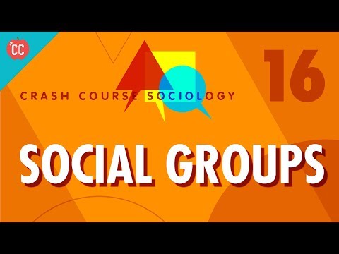 What is an example of a social group?