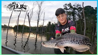 EMPANGAN KLAU//吉流水坝BuzzBait胡须佬_旋转式拟饵 多曼爆水面//路亚钓【钓鱼人】