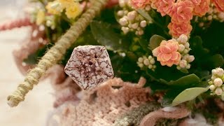 a Colourful Kalanchoë design | Flower Factor How to Make | Powered by Always Kalanchoë