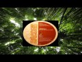 Afrikali - Out Of The Jungle 2003 (Side B Joeski S Mix) [Maya Records]