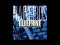 rainbirds blueprint 12