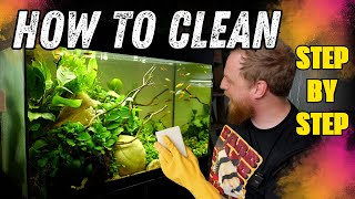 Keep your aquarium CLEAN with this SIMPLE maintenance regime.
